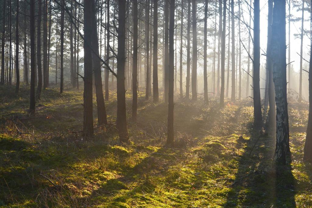 Apartamenty Kotwica Poddąbie Buitenkant foto