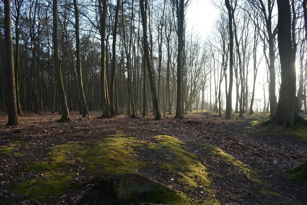 Apartamenty Kotwica Poddąbie Buitenkant foto